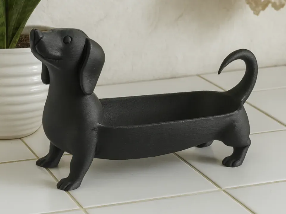 Foto real: Bandeja Cachorro Salsicha