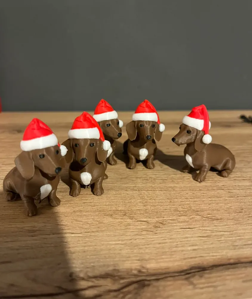 Foto real: Salsicha de Natal