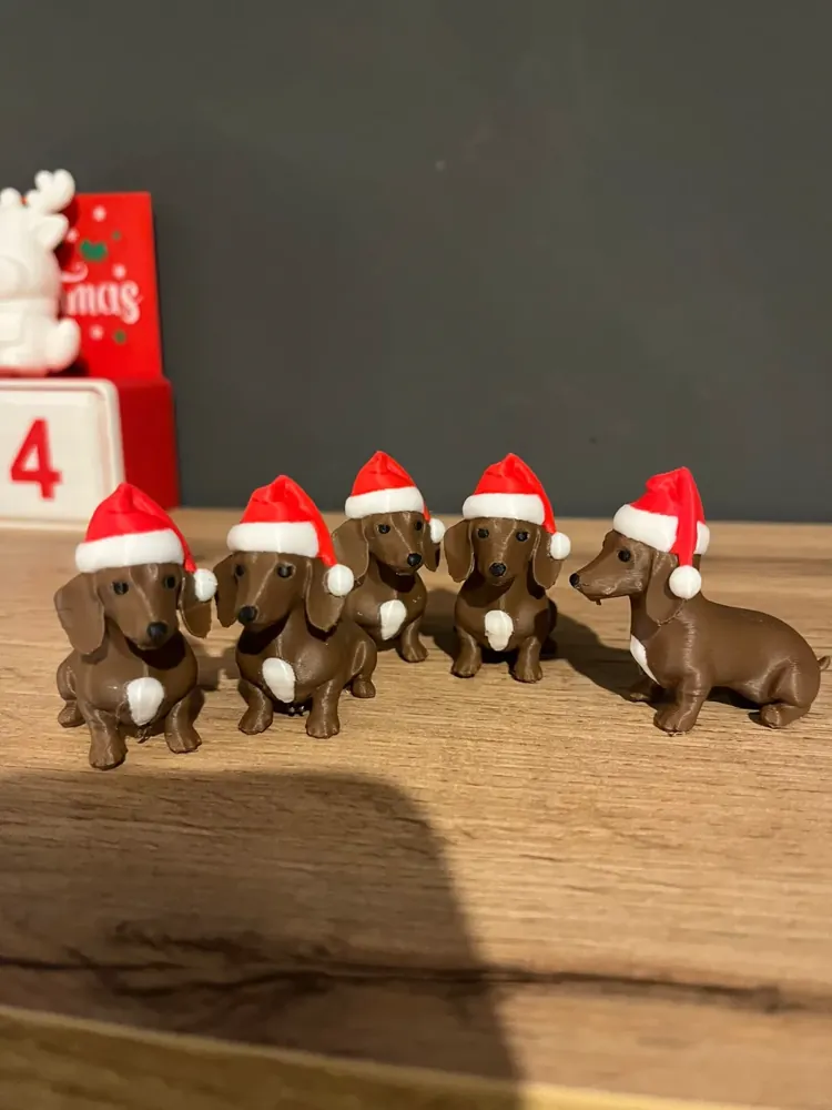 Foto real: Salsicha de Natal